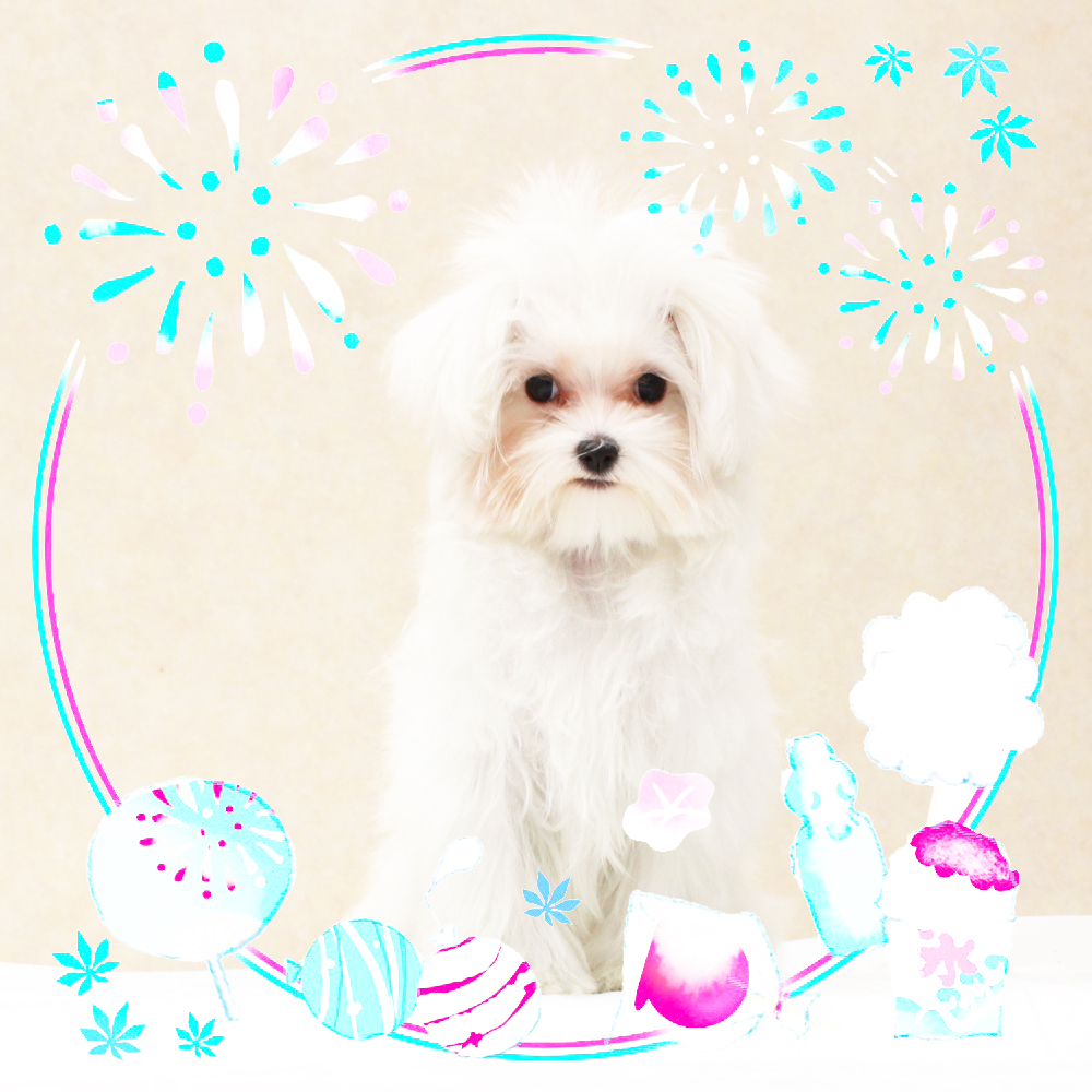 ８月で１歳になりました☆
